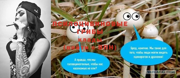 амф Аркадак