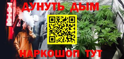 трава Кингисепп