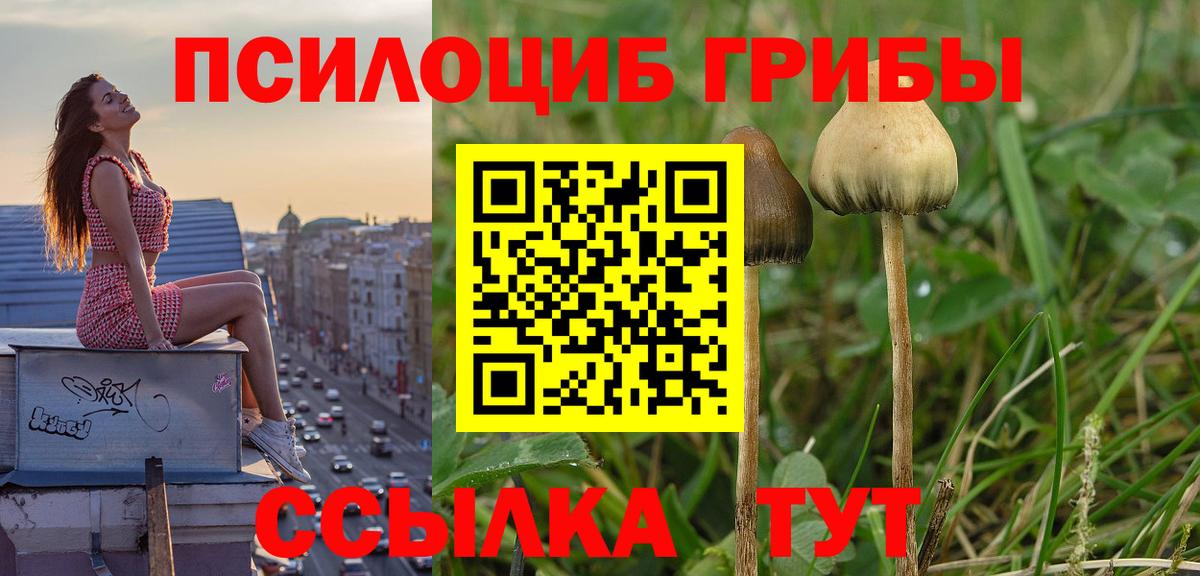 Коломна  Псилоцибиновые грибы GOLDEN TEACHER  купить   Вход с VPN  Псилоцибиновые грибы GOLDEN TEACHER 