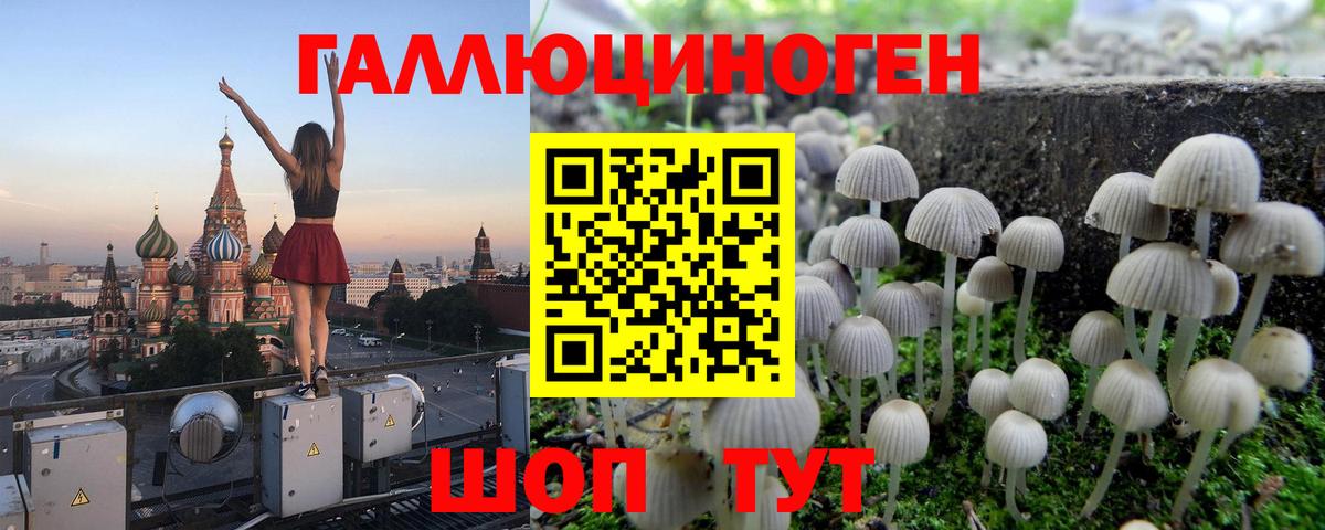Псилоцибиновые грибы ЛСД Коломна